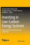 Investing in Low-Carbon Energy Systems