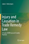 Injury and Causation in Trade Remedy Law