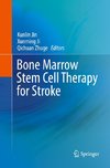 Bone marrow stem cell therapy for stroke