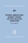 General Irreducible Markov Chains and Non-Negative Operators