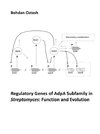 Regulatory Genes of AdpA Subfamily in Streptomyces: Function and Evolution