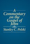 A Commentary on the Gospel of John