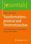 Transformationsprozesse und Stromnetzausbau