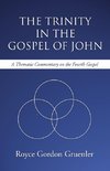 The Trinity in the Gospel of John