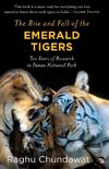 The Rise and Fall of the Emerald Tigers