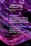 Integration Techniques for Micro/Nanostructure-Based Large-Area Electronics