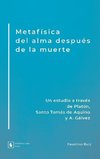 Metafísica del alma después de la muerte