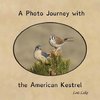 A Photo Journey with the American Kestrel