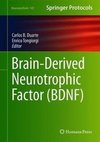 Brain-Derived Neurotrophic Factor (BDNF)