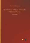 The Memoirs of Marie Antoinette, Queen of France