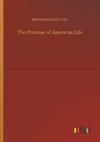 The Promise of American Life