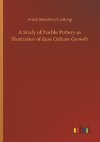 A Study of Pueble Pottery as Illustrative of Zuni Culture Growth