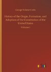 History of the Origin, Formation, and Adoption of the Constitution of the United States