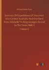 Journals Of Expeditions Of Discovery Into Central Australia And Overland from Adelaide To King George's Sound In The Years 1840-1