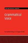 Grammatical Voice