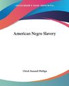 American Negro Slavery