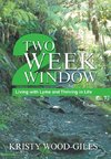 Two Week Window