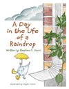 A Day In The Life Of A Raindrop