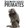 Primates