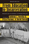 From Education to Incarceration