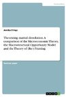 Theorizing marital dissolution. A comparison of the Microeconomic Theory, the Macrostructural Opportunity Model and the Theory of (Re-) Framing