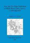 Iron Age Fen-Edge Settlement at Black Horse Farm, Sawtry, Cambridgeshire