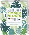 Alles über Zimmerpflanzen