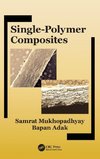 Single-Polymer Composites