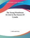 The Young Woodsman Or Life In The Forests Of Canada