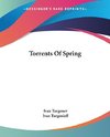 Torrents Of Spring