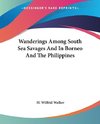 Wanderings Among South Sea Savages And In Borneo And The Philippines