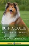 Buff; A Collie