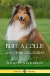 Buff; A Collie