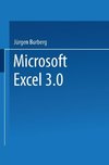 Microsoft® Excel 3. 0