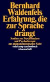 Erfahrung, die zur Sprache drängt