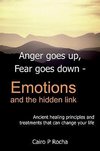 Anger Goes Up, Fear Goes Down- Emotions and the Hidden Link