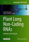 Plant Long Non-Coding RNAs