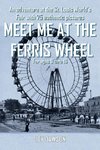 MEET ME AT THE FERRIS WHEEL