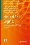 Natural Gas Engines