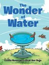 The Wonder of Water