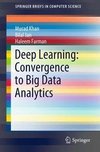 Deep Learning: Convergence to Big Data Analytics