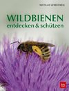 Wildbienen entdecken & schützen