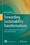 Stewarding Sustainability Transformations