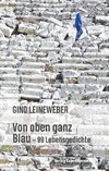 Von oben ganz Blau