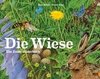 Die Wiese