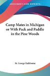 Camp Mates in Michigan or With Pack and Paddle in the Pine Woods