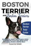 Boston Terrier And Boston Terriers