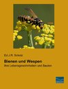 Bienen und Wespen