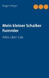 Mein kleiner Schalker Fummler