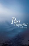 Past Imperfect